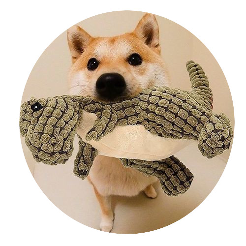Peluş Evcil Köpek Oyuncakları